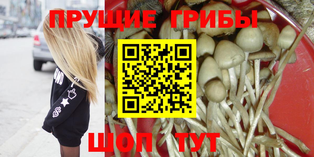 Псилоцибиновые грибы ЛСД  Вход с VPN  Ноябрьск 